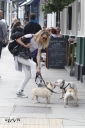 Sarah_Harding_out_and_about_in_London_with_her_dogs_17_07_12_282829.jpg