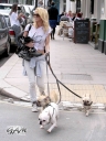 Имя файла=Sarah_Harding_out_and_about_in_London_with_her_dogs_17_07_12_284829.jpg
Размер файла=804КБ
Размеры=2000x2662
Дата=Июль 17, 2012 Sarah_Harding_out_and_about_in_London_with_her_dogs_17_07_12_284829.jpg