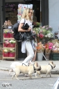 Имя файла=Sarah_Harding_out_and_about_in_London_with_her_dogs_17_07_12_286929.jpg
Размер файла=1059КБ
Размеры=2230x3348
Дата=Июль 23, 2012 Sarah_Harding_out_and_about_in_London_with_her_dogs_17_07_12_286929.jpg