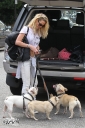 Имя файла=Sarah_Harding_out_and_about_in_London_with_her_dogs_17_07_12_287629.jpg
Размер файла=803КБ
Размеры=1976x2964
Дата=Июль 23, 2012 Sarah_Harding_out_and_about_in_London_with_her_dogs_17_07_12_287629.jpg