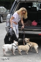 Имя файла=Sarah_Harding_out_and_about_in_London_with_her_dogs_17_07_12_287829.jpg
Размер файла=901КБ
Размеры=2030x3045
Дата=Июль 23, 2012 Sarah_Harding_out_and_about_in_London_with_her_dogs_17_07_12_287829.jpg
