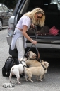 Имя файла=Sarah_Harding_out_and_about_in_London_with_her_dogs_17_07_12_287929.jpg
Размер файла=747КБ
Размеры=1820x2730
Дата=Июль 23, 2012 Sarah_Harding_out_and_about_in_London_with_her_dogs_17_07_12_287929.jpg