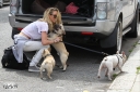 Имя файла=Sarah_Harding_out_and_about_in_London_with_her_dogs_17_07_12_288129.jpg
Размер файла=1261КБ
Размеры=3548x2365
Дата=Июль 23, 2012 Sarah_Harding_out_and_about_in_London_with_her_dogs_17_07_12_288129.jpg