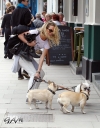 Имя файла=Sarah_Harding_out_and_about_in_London_with_her_dogs_17_07_12_289429.jpg
Размер файла=629КБ
Размеры=1936x2460
Дата=Июль 23, 2012 Sarah_Harding_out_and_about_in_London_with_her_dogs_17_07_12_289429.jpg