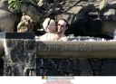 Sarah_Harding_and_Tom_on_holiday_in_the_Indian_Ocean_15_06_07_28629.jpg