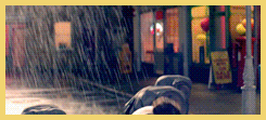 1_284229.gif