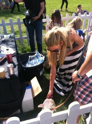 Sarah_Harding_at_PupAid2C_Primrose_Hill_London_08_09_12_2810529.jpg