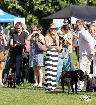 Sarah_Harding_at_PupAid2C_Primrose_Hill_London_08_09_12_289429.jpg