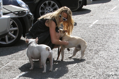 Sarah_Harding_takes_her_dogs_for_a_walk_22_09_12_281029.jpg