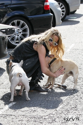 Sarah_Harding_takes_her_dogs_for_a_walk_22_09_12_283229.jpg
