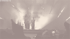 tumblr_mbdlvhI57p1qa9n4vo1_250.gif