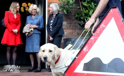 Kimberley_Walsh_visits_Clarence_House_18_10_12_28329.jpg