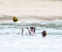 Kimberley_Walsh_on_holiday_in_the_Caribbean_080113_2813129.jpg