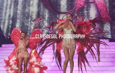 The_Hits_Tour_2013_London_02_03_13_2832229.jpg
