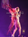 The_Hits_Tour_2013_-_Newcastle_23_02_13_281729.jpg