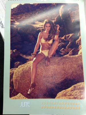 Cheryl_Cole_-_Calendar_2014_281329.jpeg