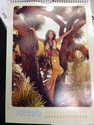 Cheryl_Cole_-_Calendar_2014_281629.jpeg