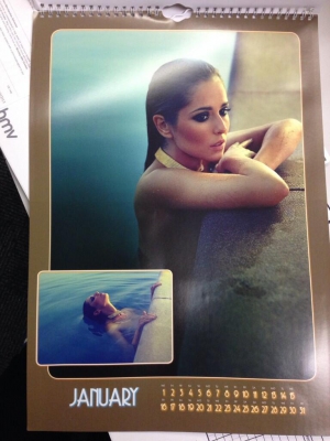 Cheryl_Cole_-_Calendar_2014_28829.jpeg