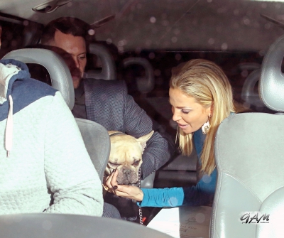 Sarah_Harding_leaving_the_Animal_Hero_Awards2C_Langham_Hotel_28_11_13_283529.jpg
