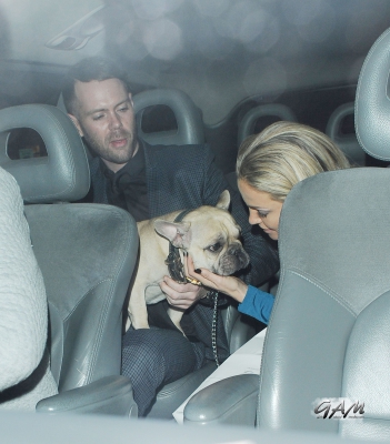 Sarah_Harding_leaving_the_Animal_Hero_Awards2C_Langham_Hotel_28_11_13_284729.jpg