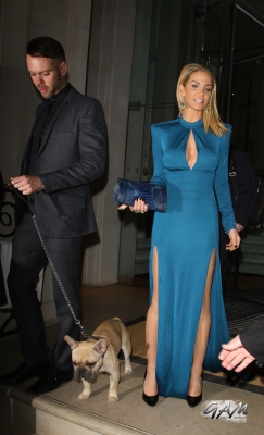 Sarah_Harding_leaving_the_Animal_Hero_Awards2C_Langham_Hotel_28_11_13_28829.jpg
