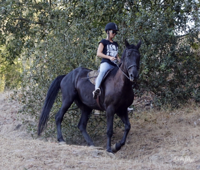 Sarah_Harding_out_horse_riding_in_Los_Angeles_16_08_13_283329.jpg
