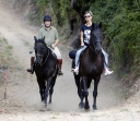 Sarah_Harding_out_horse_riding_in_Los_Angeles_16_08_13_284629.jpg