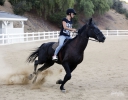 Sarah_Harding_out_horse_riding_in_Los_Angeles_16_08_13_284829.jpg