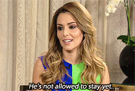31_28529.gif
