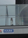 Cheryl_Arriving_at_the_X-Factor_Manchester_17_06_14_282729.jpg