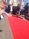 Имя файла=Cheryl_arriving_at_the_auditions_in_Newcastle_26_06_14_281729.jpg
Размер файла=107КБ
Размеры=768x1024
Дата=Июнь 26, 2014 Cheryl_arriving_at_the_auditions_in_Newcastle_26_06_14_281729.jpg