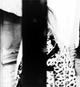 tumblr_n87vfqDftu1qmut9do6_250.gif