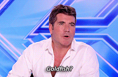 tumblr_ncvj7scpPR1so63s4o2_250.gif