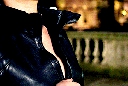 tumblr_nb5k7m2xUQ1rfmcejo6_250.gif
