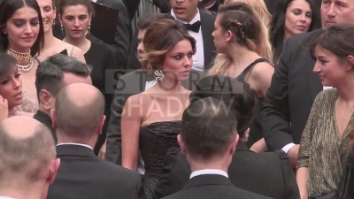 Cheryl_Cole_at_Foxcatcher_film_red_carpet_presentation_in_Cannes_mp40045.jpg