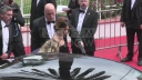 Cheryl_Cole_at_Foxcatcher_film_red_carpet_presentation_in_Cannes_mp40008.jpg