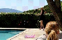 tumblr_ndpb04Y0AV1so63s4o6_250.gif