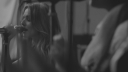 Cheryl_-_Goodbye_Means_Hello_-_The_Only_Human_Sessions_mp40125.jpg