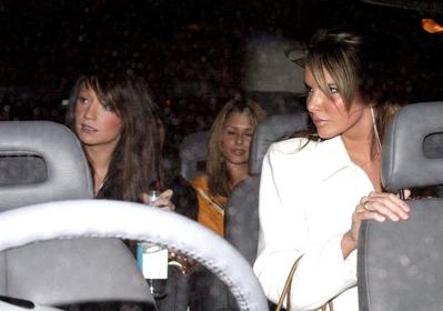 Bee_Coll_premiere_7_03_05_17.jpg
