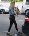 Sarah_Harding_is_pictured_at_a_local_pet_shop_in_Primrose_Hill_07_05_15_28729.jpg