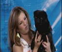 Имя файла=The_Xtra_Factor-_S10E40_-_Cheryl_Looks_Back_2826_August_201429_mp40777.jpg
Размер файла=44КБ
Размеры=670x560
Дата=Май 09, 2015 The_Xtra_Factor-_S10E40_-_Cheryl_Looks_Back_2826_August_201429_mp40777.jpg