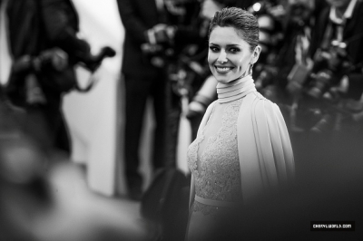 The_68th_Annual_Cannes_Film_Festival_15_05_15_2810529.jpg