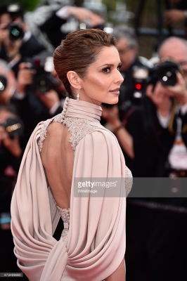 The_68th_Annual_Cannes_Film_Festival_15_05_15_2831829.jpg