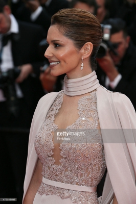 The_68th_Annual_Cannes_Film_Festival_15_05_15_2833929.jpg