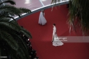 Имя файла=The_68th_Annual_Cannes_Film_Festival_15_05_15_2831729.jpg
Размер файла=256КБ
Размеры=1024x683
Дата=Май 17, 2015 The_68th_Annual_Cannes_Film_Festival_15_05_15_2831729.jpg