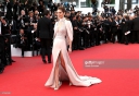 The_68th_Annual_Cannes_Film_Festival_15_05_15_2835229.jpg