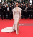 The_68th_Annual_Cannes_Film_Festival_15_05_15_2837029.jpg