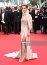 The_68th_Annual_Cannes_Film_Festival_15_05_15_2837529.jpg