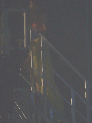 Tangled_Up_Tour_2008_Newcastle_24_05_08_281429.jpg