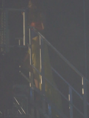 Tangled_Up_Tour_2008_Newcastle_24_05_08_283629.jpg